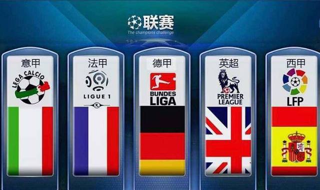 不僅組合成