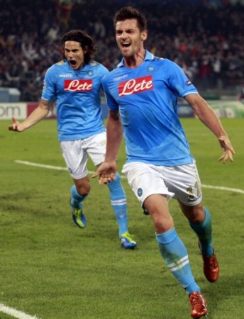 在这项研究 在这项研究